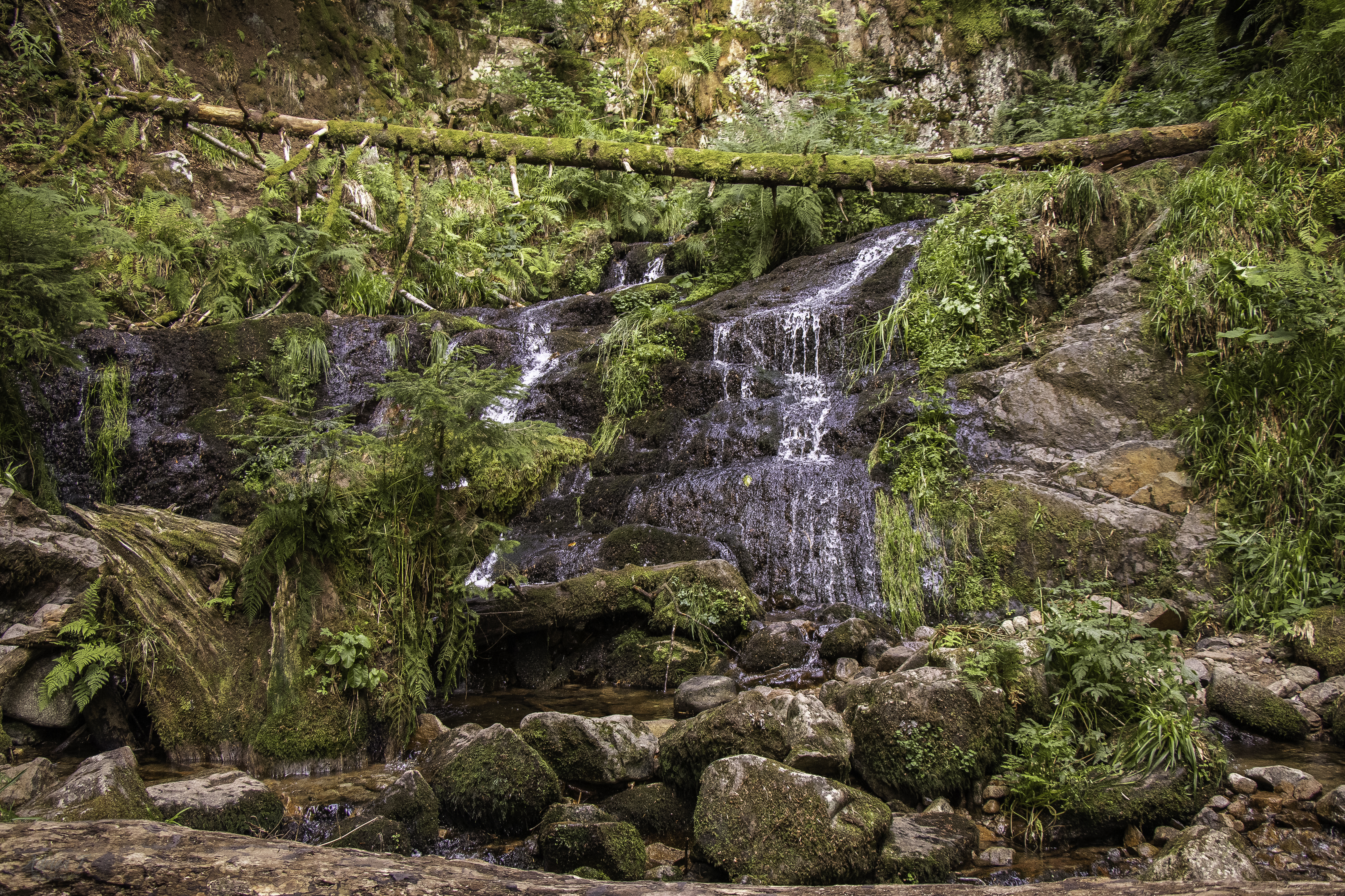 Photo de randonnée dans les Pyrénées, sur le chemin en direction du col des Sarradets. Vue sur le Pic de la Pahule et le Mont Mourgat.