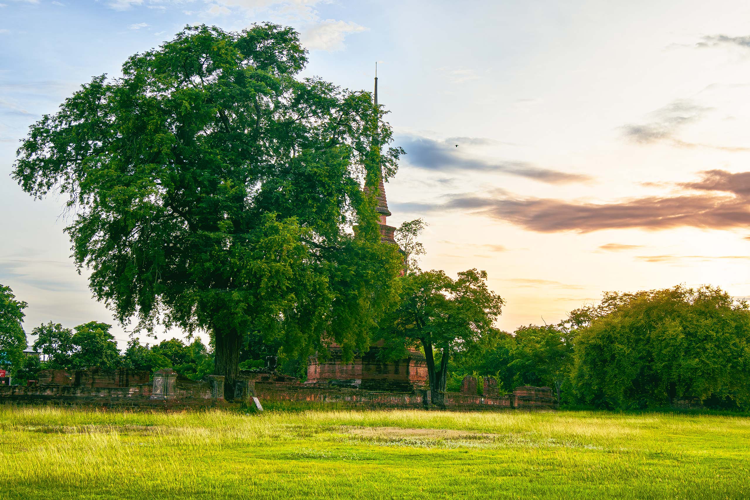 Photo de randonnée dans les Pyrénées, sur le chemin en direction du col des Sarradets. Vue sur le Pic de la Pahule et le Mont Mourgat.