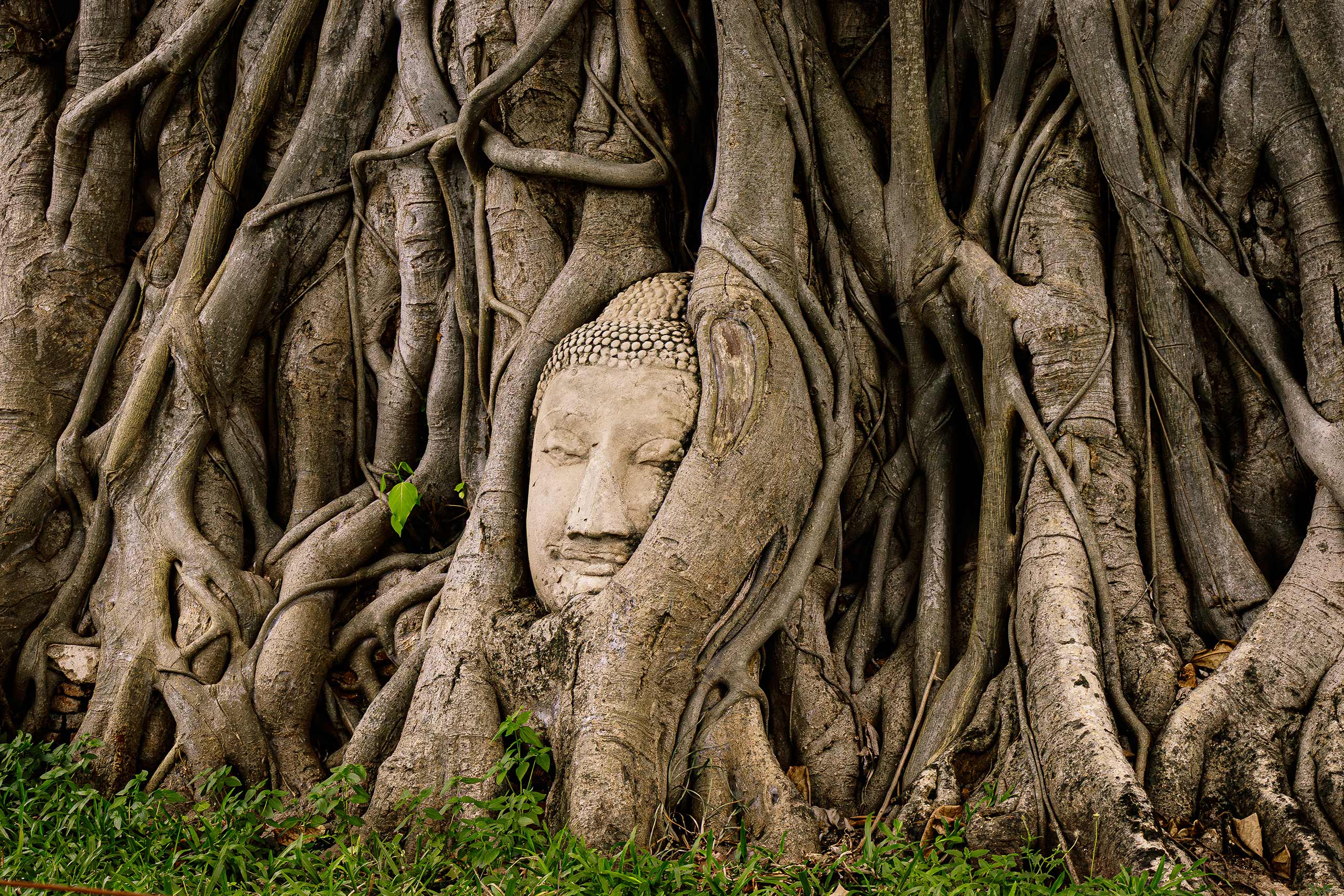 Photo de randonnée dans les Pyrénées, sur le chemin en direction du col des Sarradets. Vue sur le Pic de la Pahule et le Mont Mourgat.
